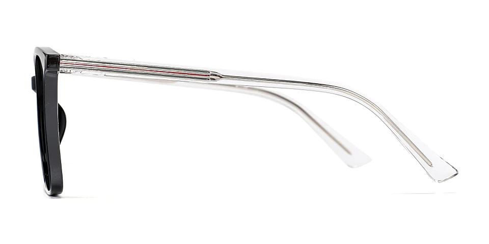 Harary black   Plastic  Sunglasses