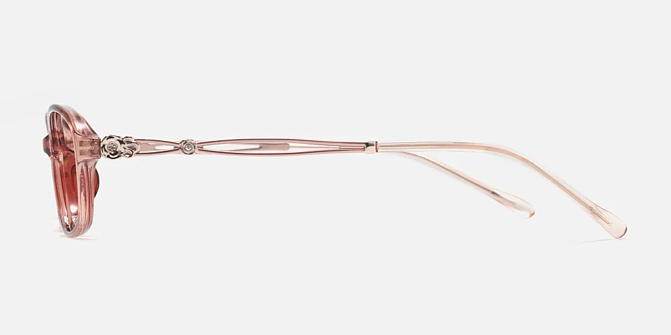 Rosiel brown   Plastic  Eyeglasses