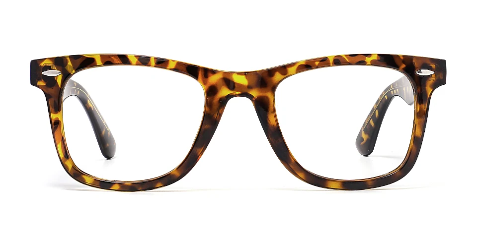Jose warm tortoise   Plastic  Eyeglasses