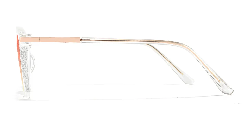 Darleen clear   Plastic  Sunglasses