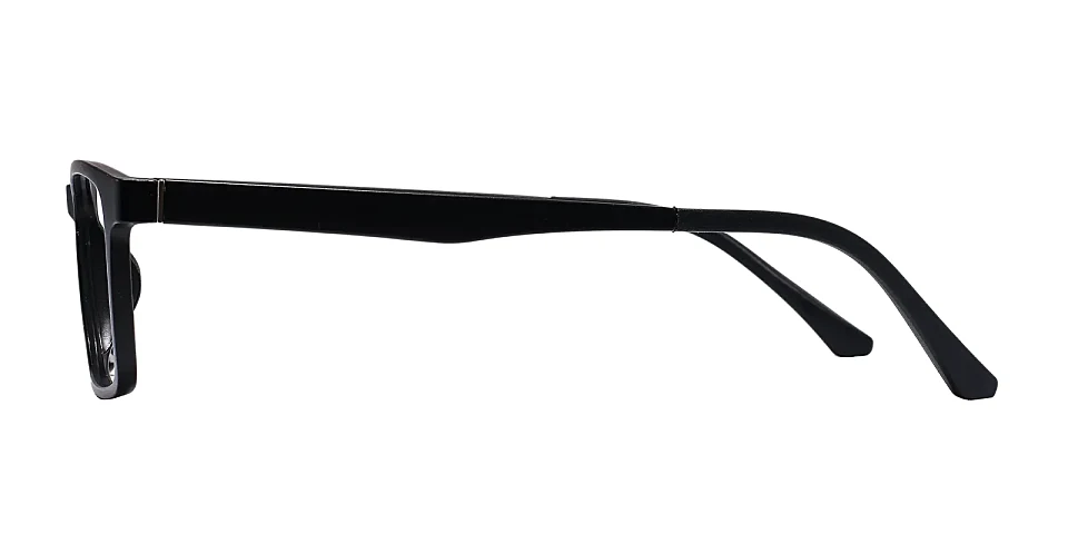 Swan black   Plastic  Eyeglasses