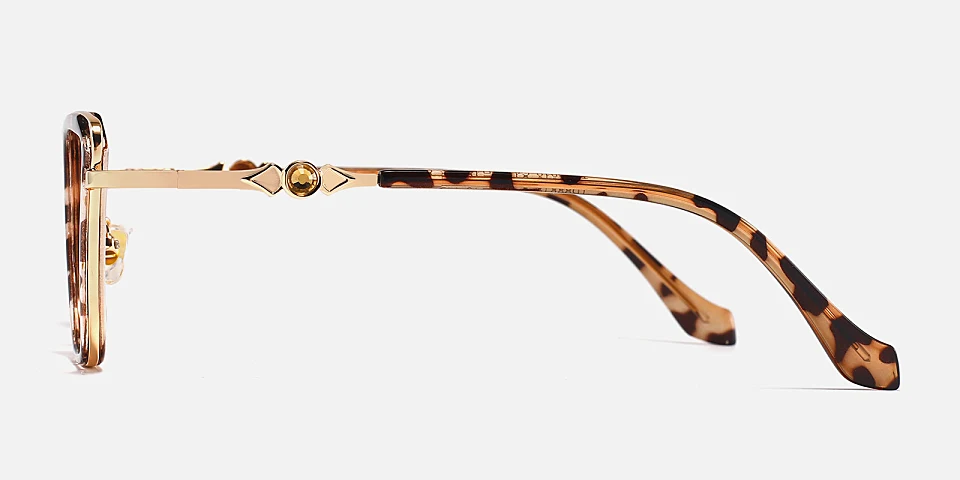 Niamh warm tortoise   Plastic  Eyeglasses