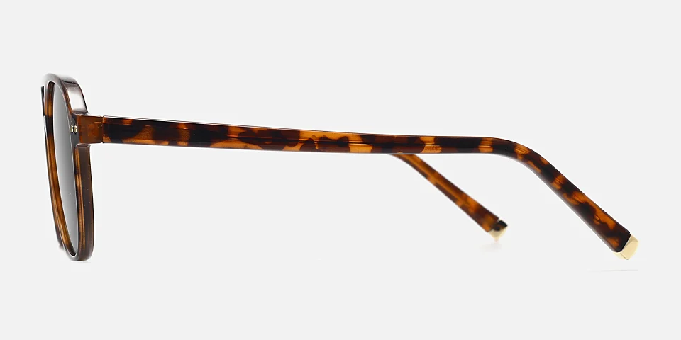 Silas warm tortoise   Plastic  Sunglasses