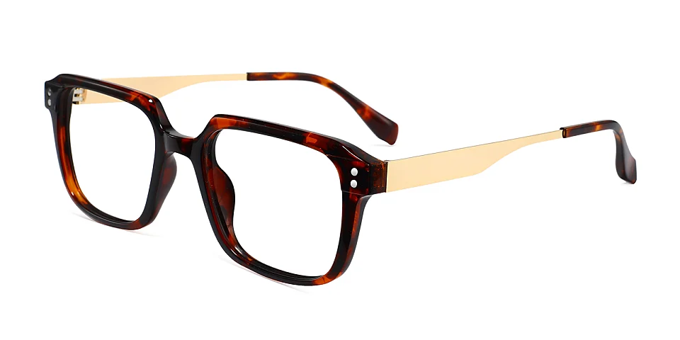 Mikel warm tortoise   Plastic  Eyeglasses