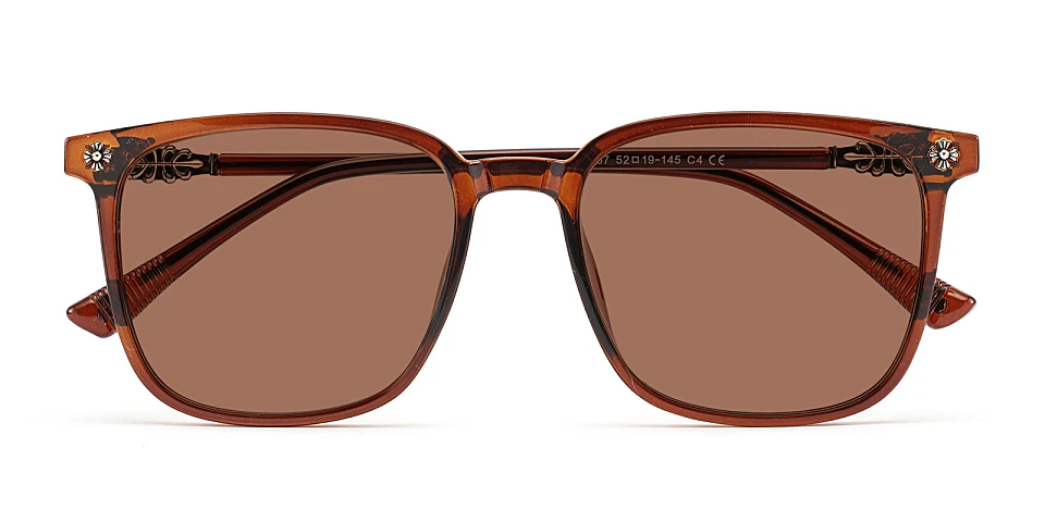 Suellen brown   Plastic  Sunglasses