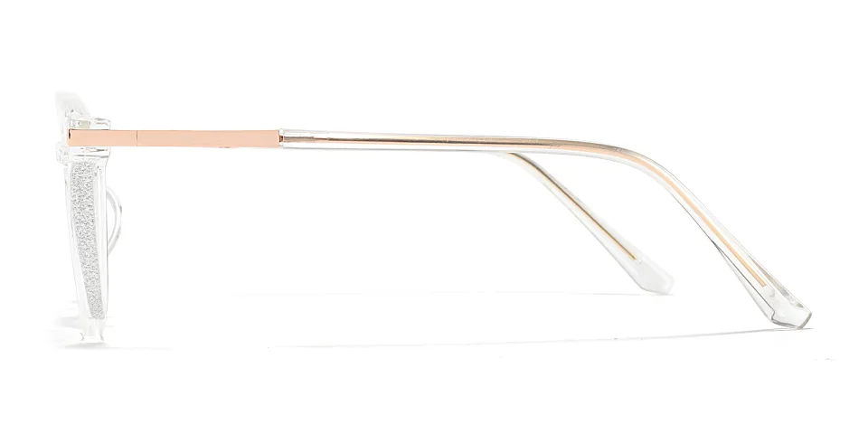 Darleen clear   Plastic  Eyeglasses