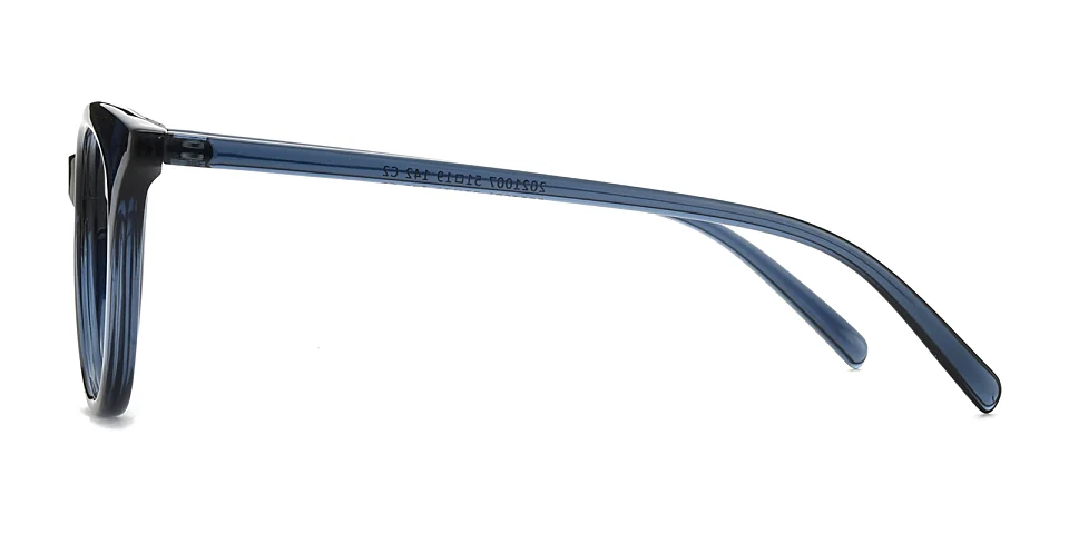 Icey blue   Plastic  Eyeglasses