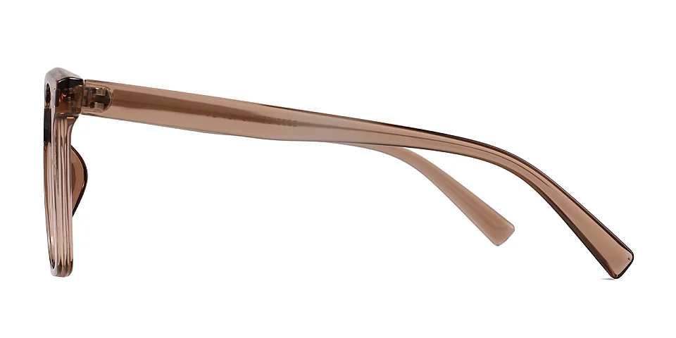 Anca brown   Plastic  Eyeglasses