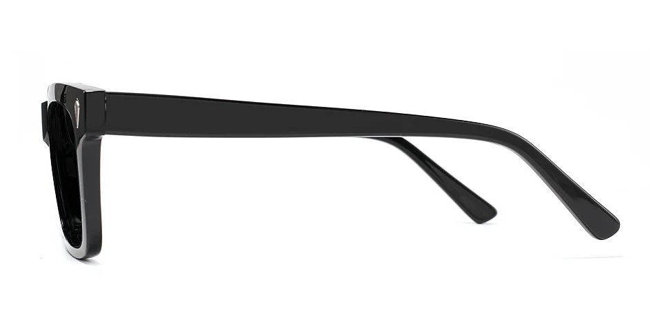 Darren black   Acetate  Sunglasses