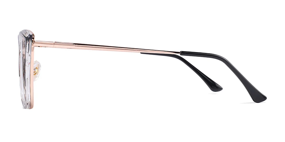 Brillant black petal tortoise   Plastic  Eyeglasses