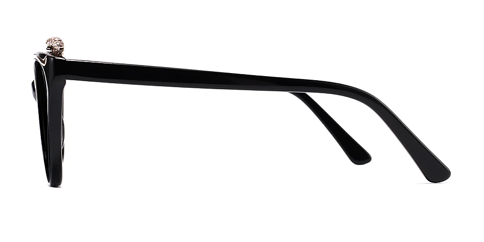 Joleen black   Acetate  Sunglasses