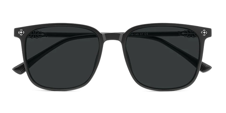 Suellen black   Plastic  Sunglasses