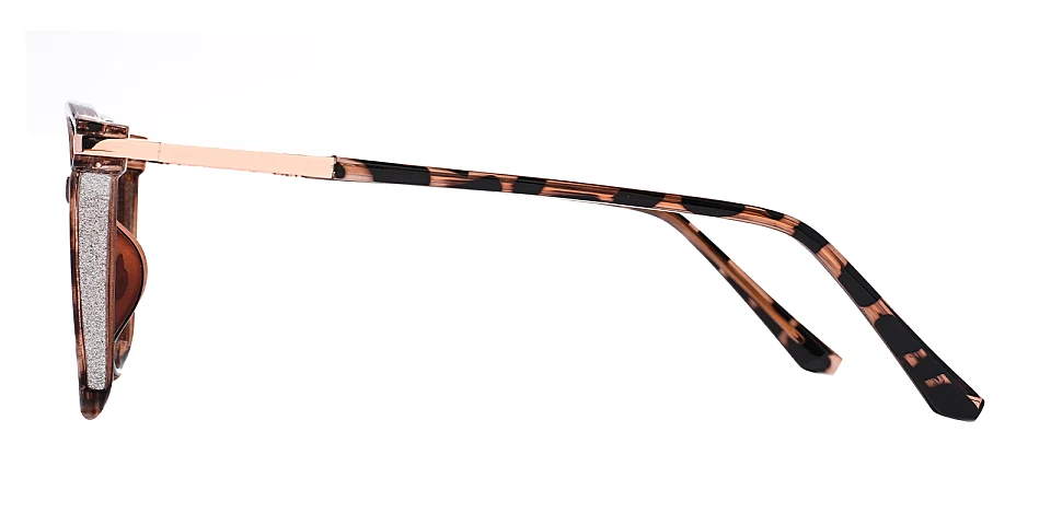 Aysun warm tortoise   Plastic  Eyeglasses