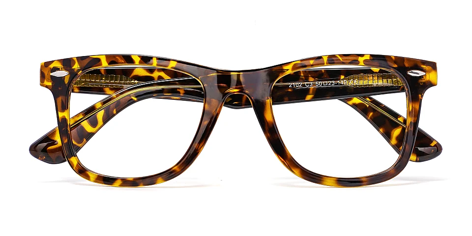 Jose warm tortoise   Plastic  Eyeglasses