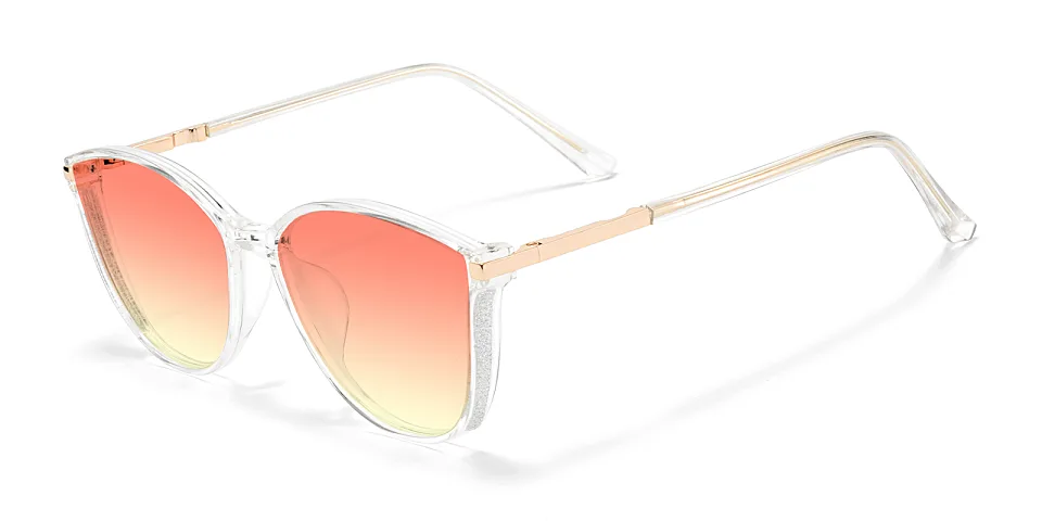 Darleen clear   Plastic  Sunglasses