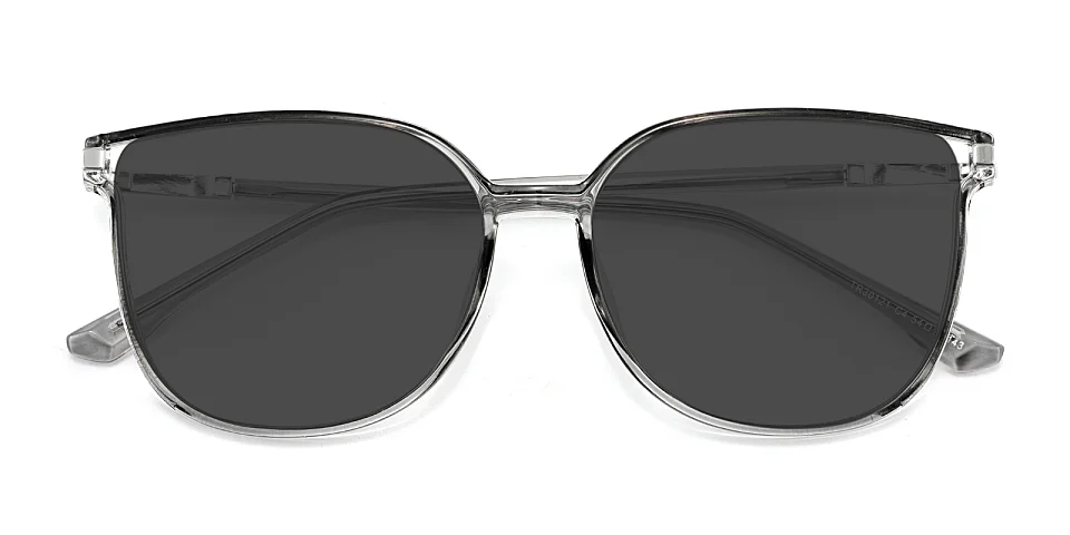 Aysun grey   Plastic  Sunglasses