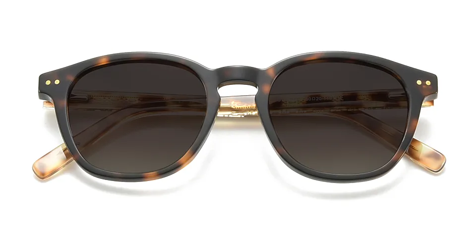 Ariel warm tortoise   Acetate  Sunglasses