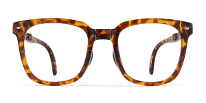 Eyeglasses_Noel