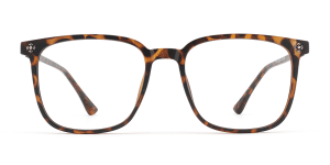 Eyeglasses_Suellen