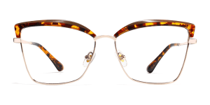 Eyeglasses_Guare