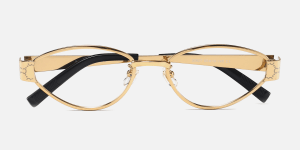 Eyeglasses_Fina