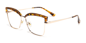 Eyeglasses_Guare