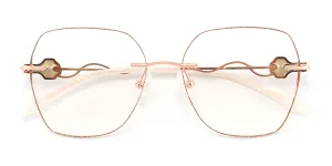 Eyeglasses_Shine
