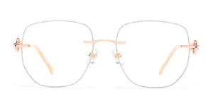 Eyeglasses_Blink