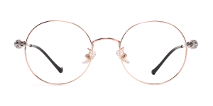 Eyeglasses_Roya