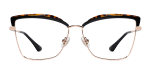 Eyeglasses_Guare