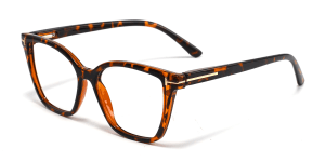 Eyeglasses_Geir