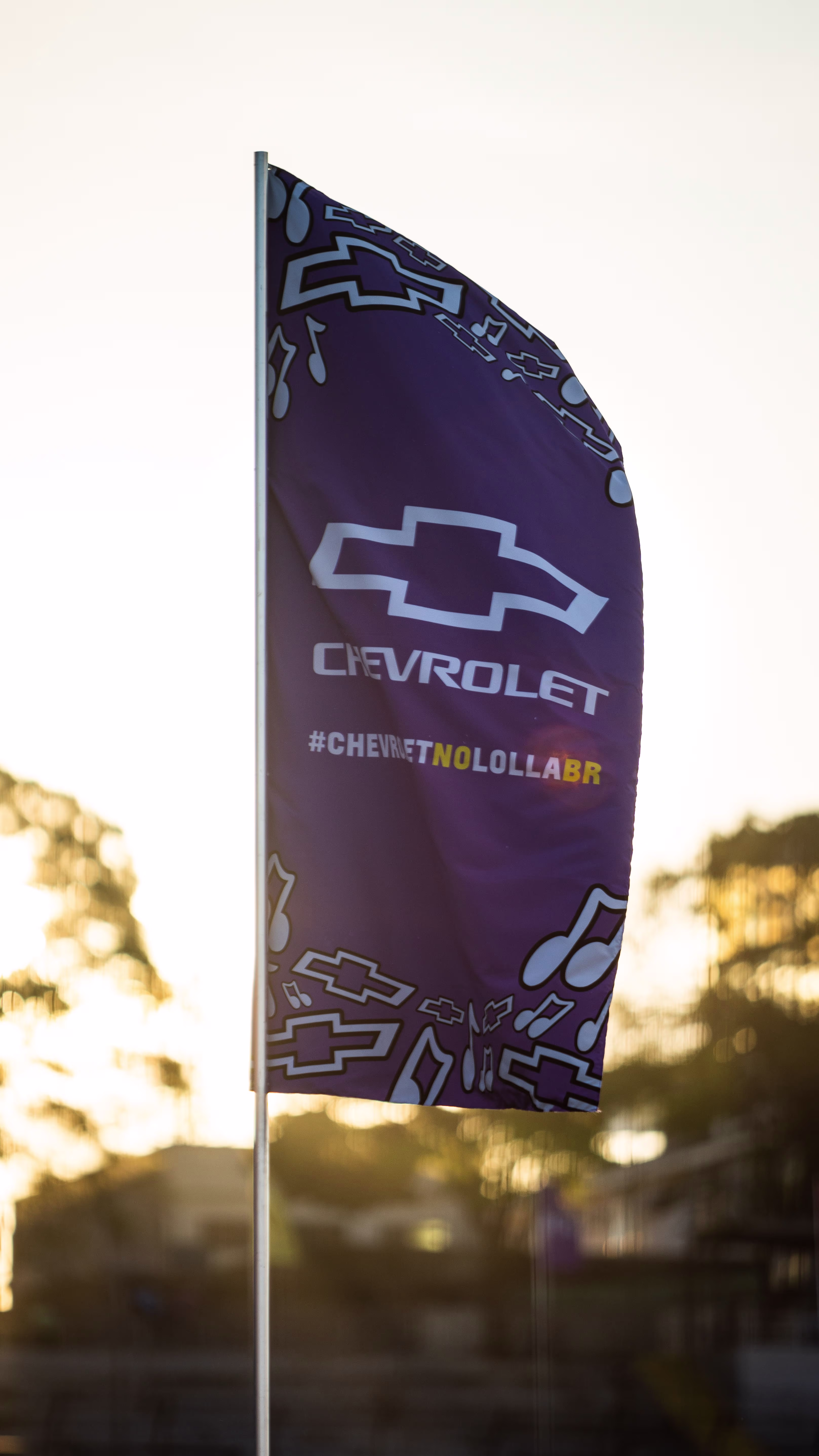 project demonstration