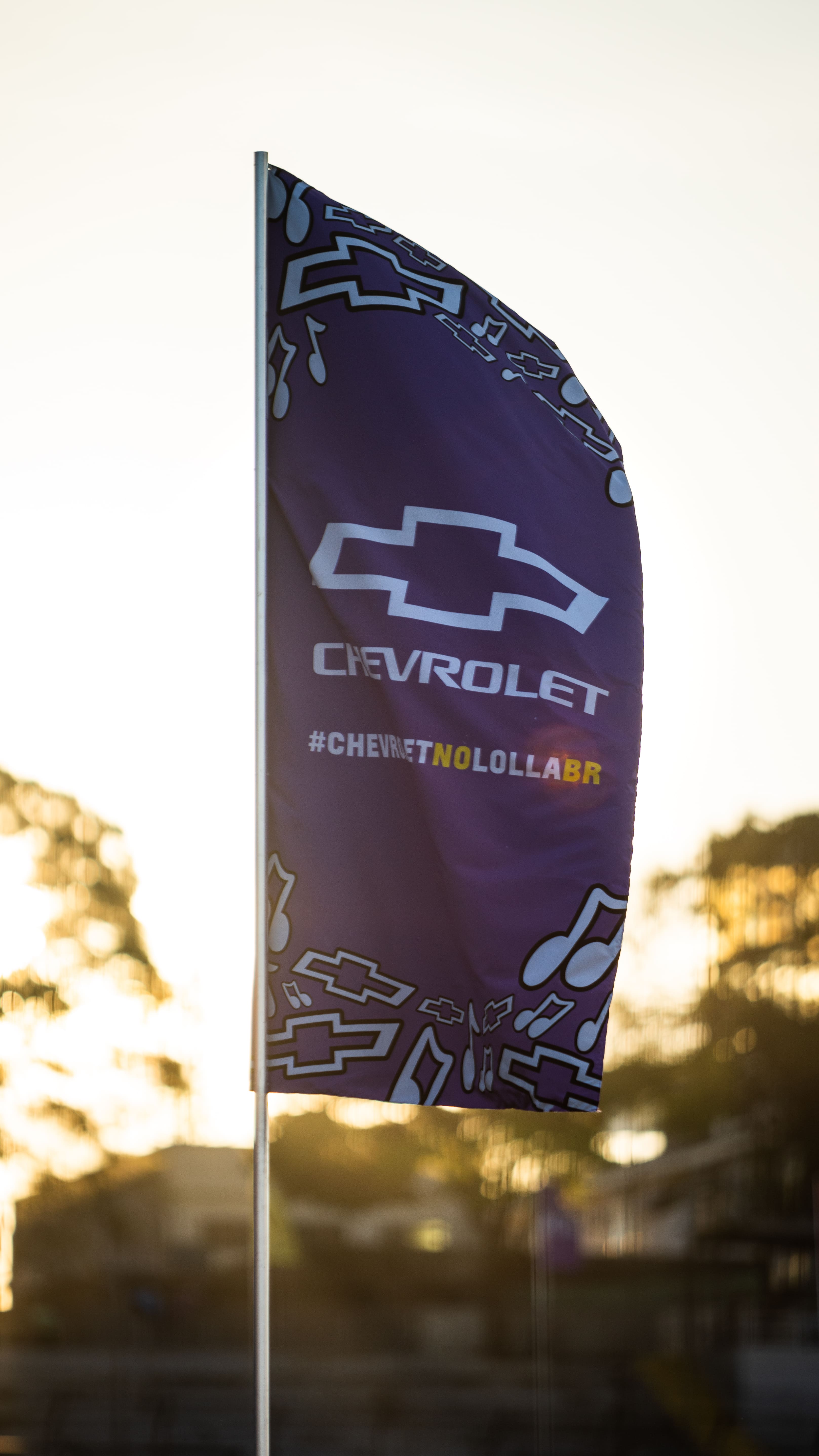 project demonstration