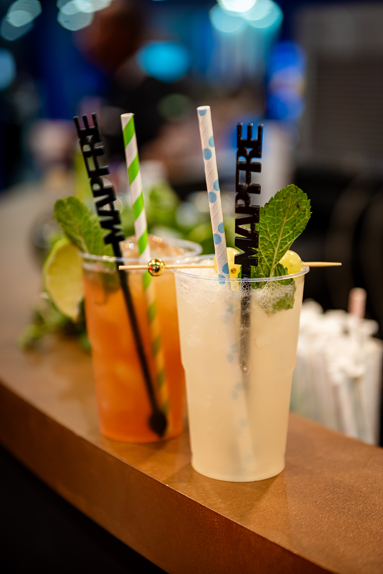 project demonstration