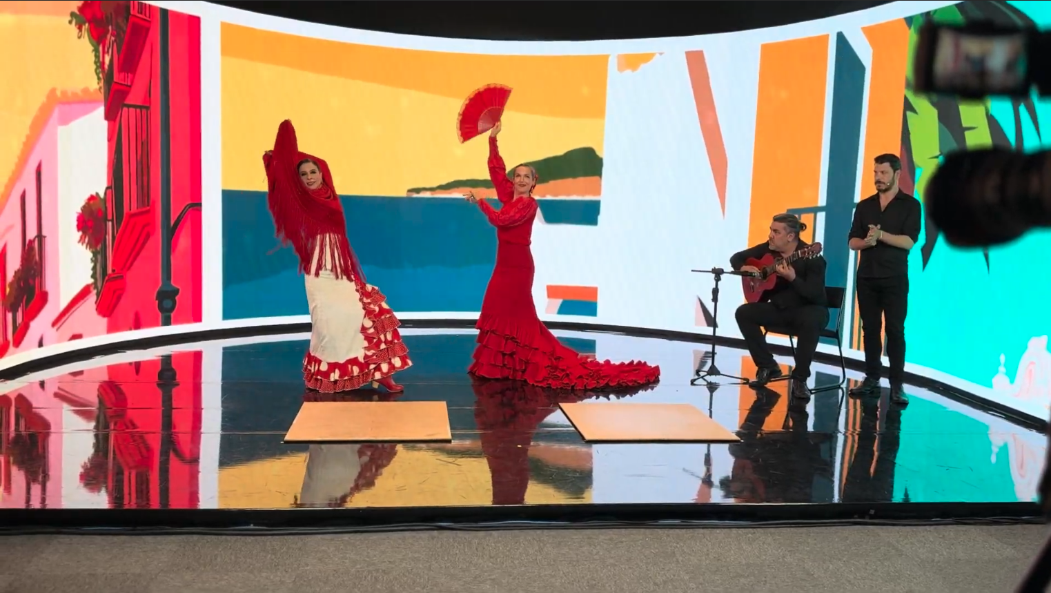 project demonstration