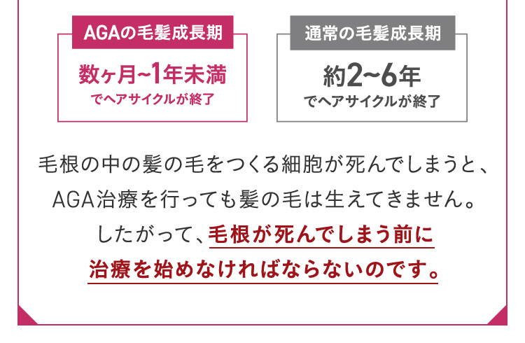 毛根の中の髪の毛をつくる細胞が死んでしまうと、AGA治療を行っても髪の毛は生えてきません。