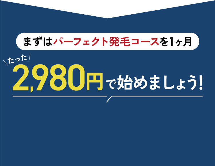まずはパーフェクト発毛コースを1か月たった2980円で始めましょう！