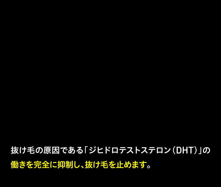 抜け毛の原因である「ジヒドロテストステロン（DHT）の働きを完全に抑制し、抜け毛を止めます