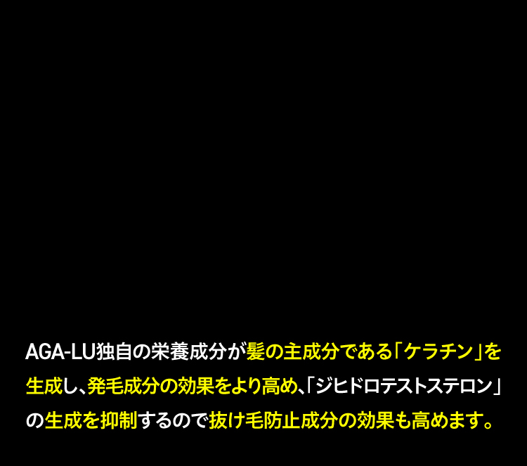 AGA-LU独自の栄養成分が髪の主成分である「ケラチン」を生成し、発毛成分の効果をより高め、「ジヒドロテストステロン」の生成を抑制するので抜け毛防止成分の効果も高めます