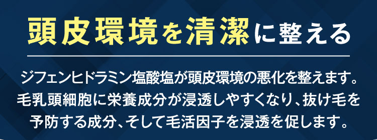 頭皮環境を清潔に整える、ジフェンヒドラミン塩酸塩が頭皮環境の悪化を整えます。毛乳頭細胞に栄光成分が浸透しやすくなり、抜け毛を防止、そして発毛を促します