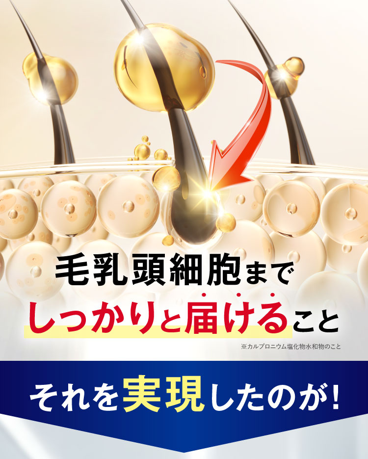 毛乳頭細胞までしっかりと届けること