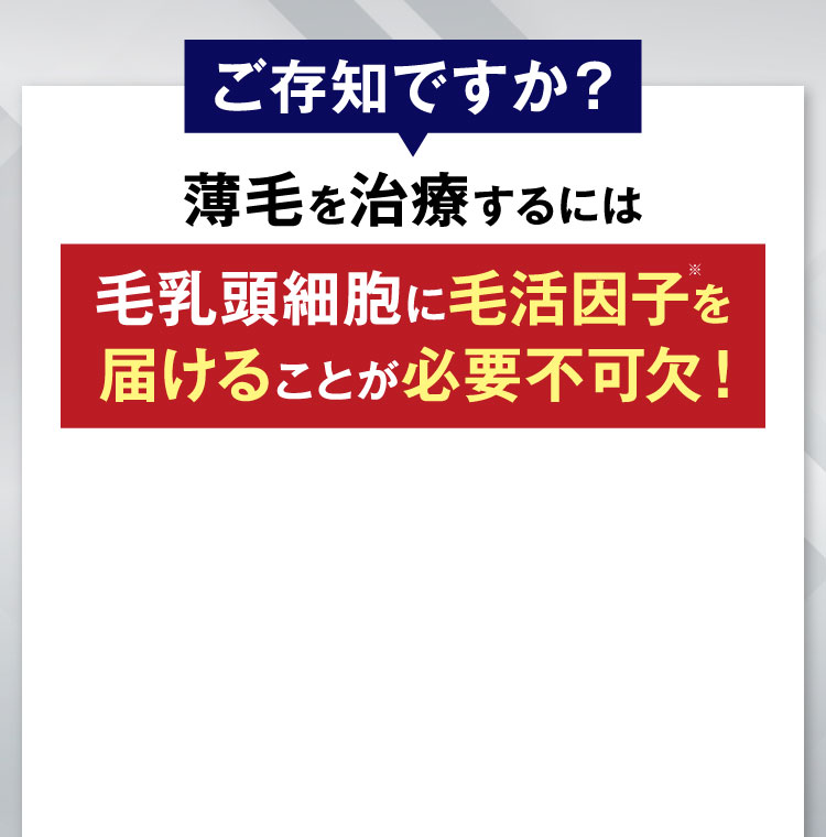 ご存知ですか？薄毛を治療するには毛乳頭細胞に発毛因子を届けることが必要不可欠！