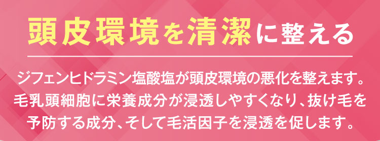 頭皮環境を清潔に整える、ジフェンヒドラミン塩酸塩が頭皮環境の悪化を整えます。毛乳頭細胞に栄光成分が浸透しやすくなり、抜け毛を防止、そして発毛を促します