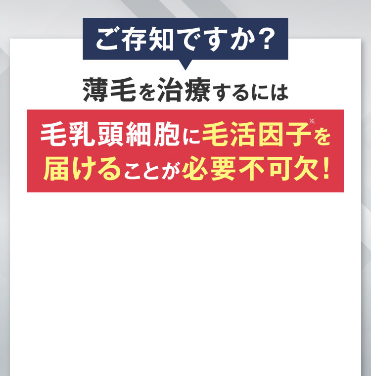 ご存知ですか？薄毛を治療するには毛乳頭細胞に発毛因子を届けることが必要不可欠！