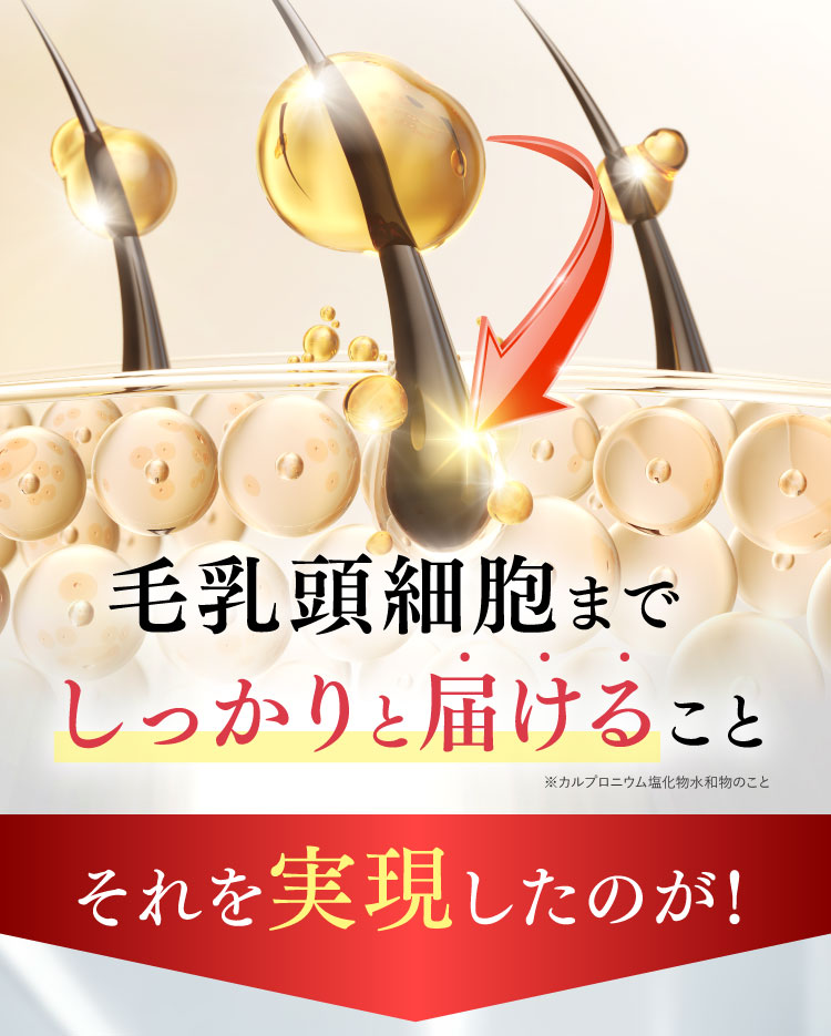 毛乳頭細胞までしっかりと届けること