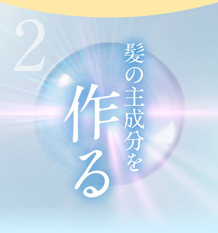 髪の主成分を作る