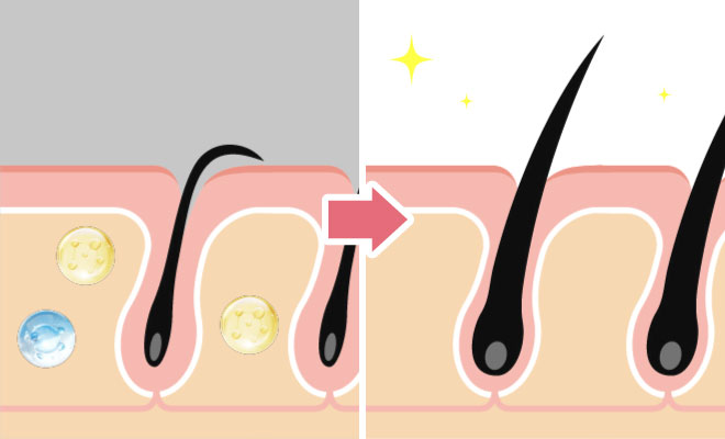 ケラチンのイラスト