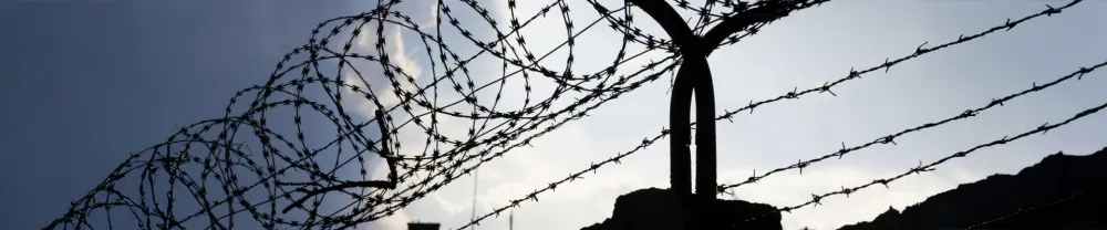 Barbed wire to represent The Prison You Built (And Why You Can't Walk Off Site)
