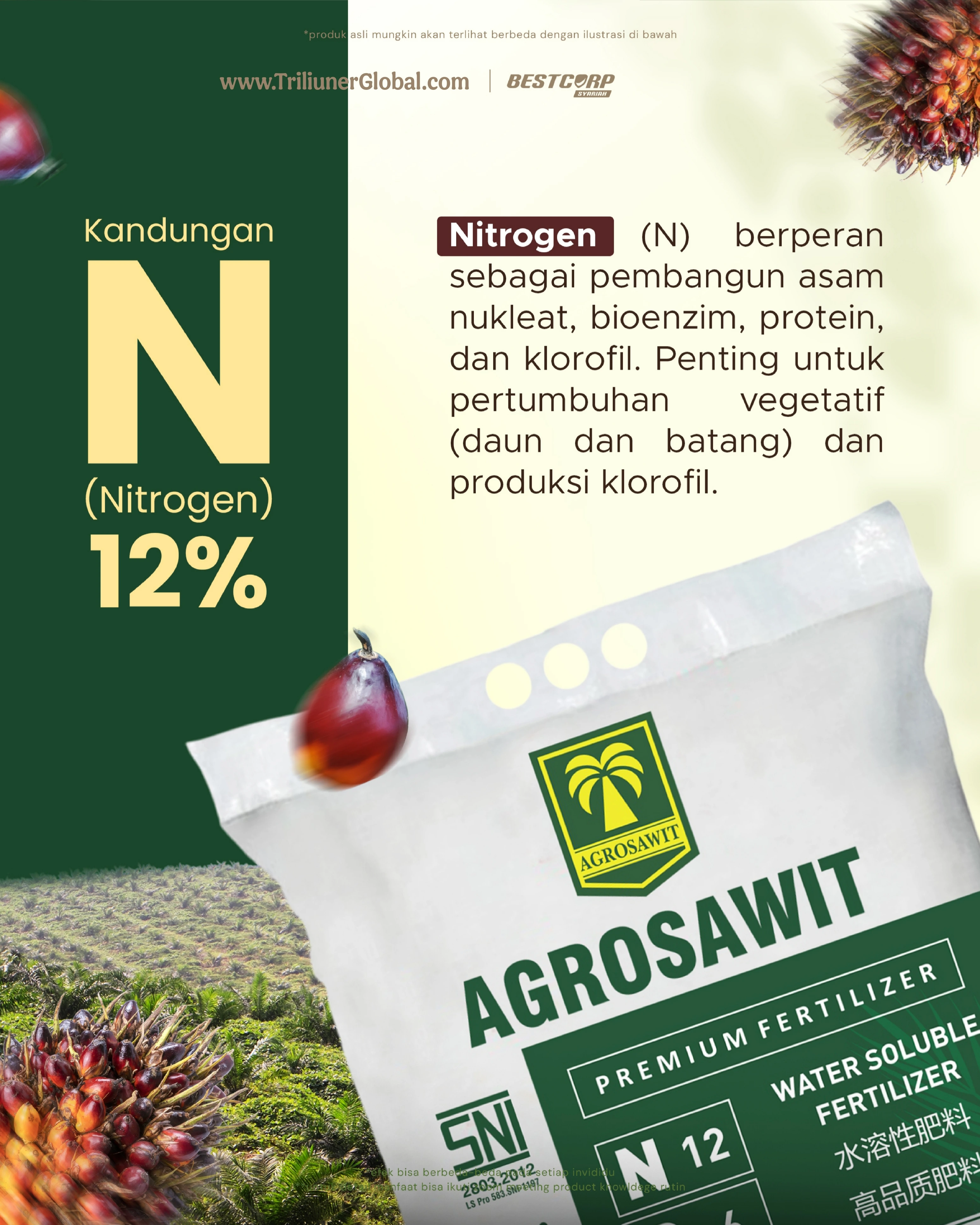 Kandungan Nitrogen