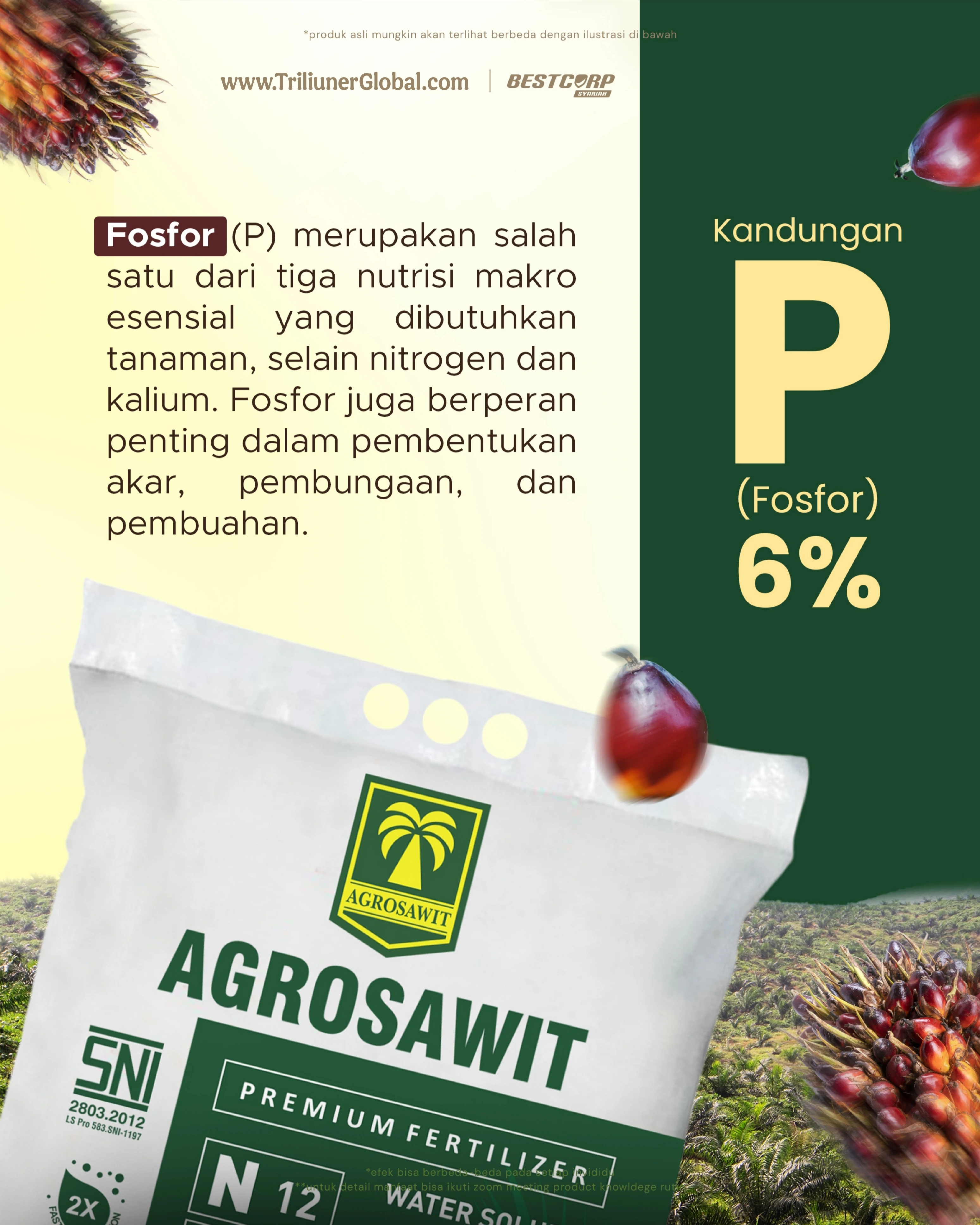 Kandungan Phospor